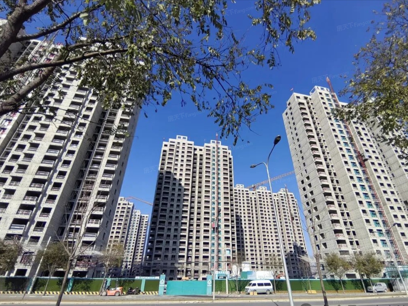 御林湾施工现场图