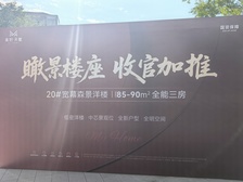 铁山坪森林公园旁,精装一梯两户小洋房