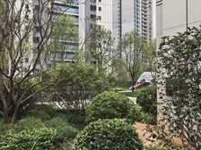 新装修南北对流,景观视野好采光充足