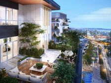 澜湄旅集·彩虹树