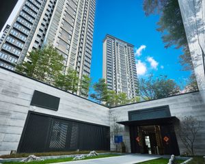 金科叠墅带电梯带平台毛坯原始户型安静不吵
