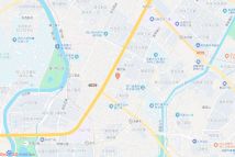 锦江区牛沙路片区地块电子地图