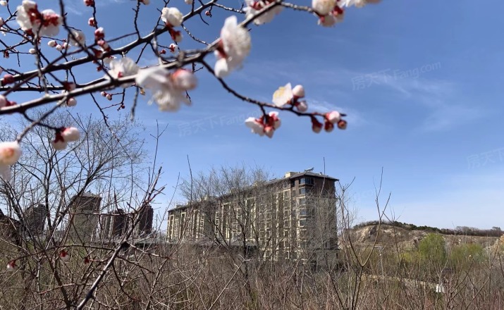 顺鑫·颐和天璟禧润住宅实景图