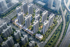 白桦林龙玺[经开]