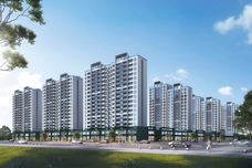 伯爵·七里香都[单县]