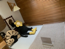 房子户型方正,中高楼层采光很好。