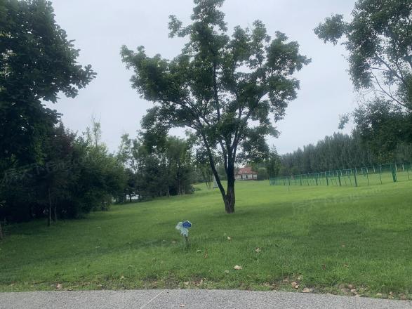 中海·长安源境实景图