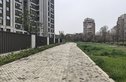 港城悦领别墅实景图