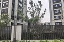 港城悦领别墅实景图