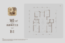 保利熙瑞引光·揽曜165平