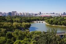 一瓶·九尺实景图