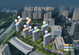 海信君安