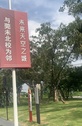 未来天空之城实景图