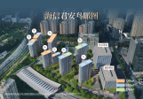 海信君安